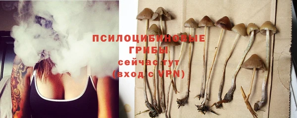 mdma Щигры