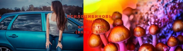 МДМА Кукмор