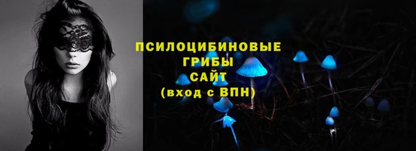 твердый Куйбышев