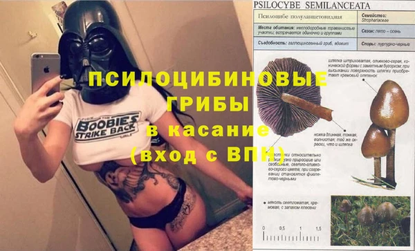 твердый Куйбышев