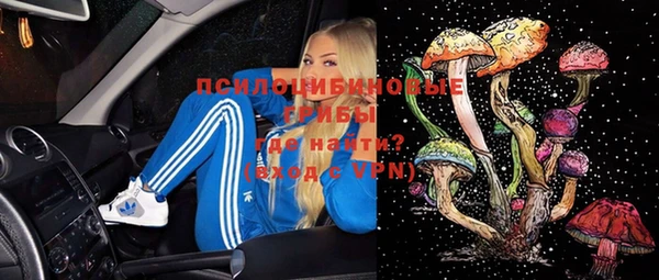 дмт Кулебаки