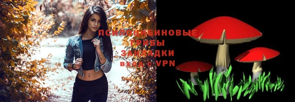 твердый Куйбышев