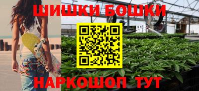 прущие крисы Гатчина