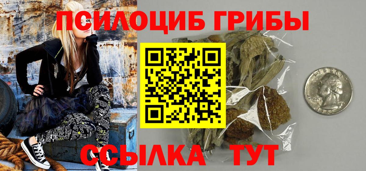 Псилоцибиновые грибы мицелий Нефтекамск
